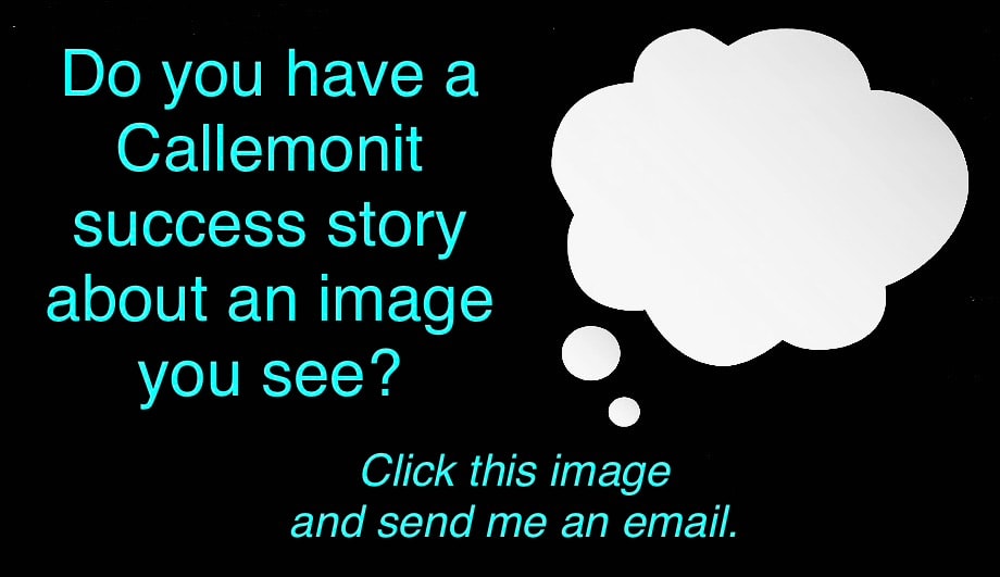 Do you have a Callemonit success story? Click this image and send an email.